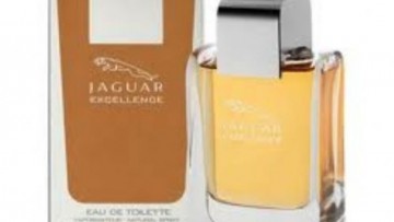 Jaguar Excellence for Men EDT 100ml