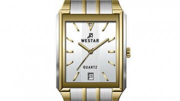 Westar Mens Two-tone Analog Dress Watch [EX7119cbn101]