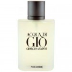 Giorgio Armani Acqua Di Gio For Men 100ml Tester