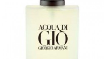 Giorgio Armani Acqua Di Gio For Men 100ml Tester