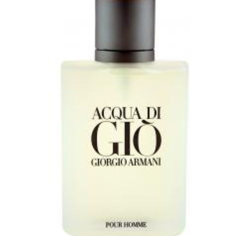 Giorgio Armani Acqua Di Gio For Men 100ml Tester