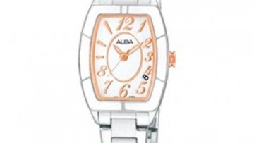 Alba Womens Two Tone Analog Watch [AH7583X]