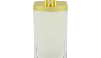 Elizabeth Arden Beauty For Women 100ml Tester