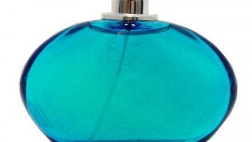 Elizabeth Arden Mediterranean EDP For Women 100ml Tester