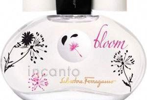 Salvatore Ferragamo Incanto Bloom For Women EDT 100ml Tester