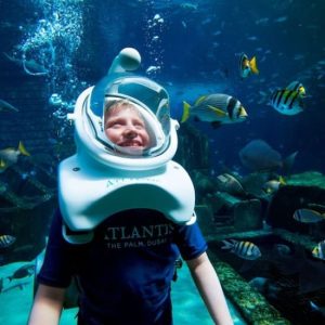 Buy Dubai Atlantis: Aquaventure Waterpark + Shark Safari or Snorkel Experience at Aquaventure Waterpark, Dubai, United Arab Emirates Mega Deals Now at Special Price in UAEMegaDeals.com Dubai Atlantis: Aquaventure Waterpark + Shark Safari or Snorkel Experience at Aquaventure Waterpark, Dubai, United Arab Emirates Activities Shop Online at Special Price from UAE Mega Deals