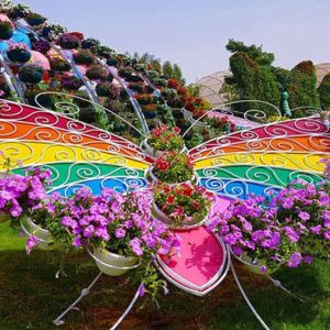 Buy Dubai Butterfly Garden: Skip The Line at Dubai Butterfly Garden, Dubai, United Arab Emirates Mega Deals Now at Special Price in UAEMegaDeals.com Dubai Butterfly Garden: Skip The Line at Dubai Butterfly Garden, Dubai, United Arab Emirates On A Budget Shop Online at Special Price from UAE Mega Deals