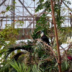 Buy Green Planet: Dubai’s Indoor Rainforest – Skip The Line at The Green Planet, Dubai, United Arab Emirates Mega Deals Now at Special Price in UAEMegaDeals.com Green Planet: Dubai’s Indoor Rainforest – Skip The Line at The Green Planet, Dubai, United Arab Emirates Family Shop Online at Special Price from UAE Mega Deals