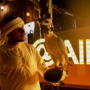 Premium Desert Safari: Camel Ride, Falconry, and BBQ Dinner at Dubai Mall, Dubai, United Arab Emirates Activities Shop Online at Special Price from UAE Mega Deals
