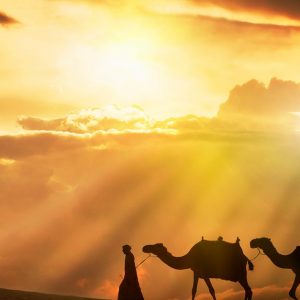 Buy 30-Day Uae Tourist Visa Mega Deals Now at Special Price in UAEMegaDeals.com 30-Day Uae Tourist Visa Shop Online at Special Price from UAE Mega Deals