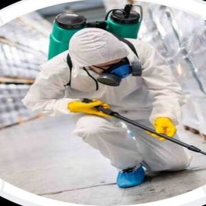 Pest Control Service – General HANDYMAN SERVICES Shop Online at Special Price from UAE Mega Deals