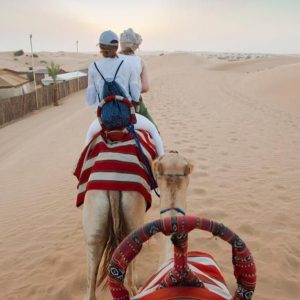 Savor The Ultimate Vip Desert Safari Tour With Home Pickup & Drop Off MOTOR SPORTS Shop Online at Special Price from UAE Mega Deals