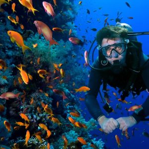 Buy Snorkeling Or Scuba Diving Experience At Al Boom Diving Mega Deals Now at Special Price in UAEMegaDeals.com Snorkeling Or Scuba Diving Experience At Al Boom Diving WATER SPORTS Shop Online at Special Price from UAE Mega Deals