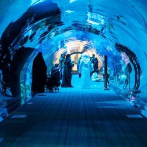 Buy Dubai Aquarium & Underwater Zoo: All-Access Pass at Dubai Aquarium & Underwater Zoo, Dubai, United Arab Emirates Mega Deals Now at Special Price in UAEMegaDeals.com Dubai Aquarium & Underwater Zoo: All-Access Pass at Dubai Aquarium & Underwater Zoo, Dubai, United Arab Emirates Family Shop Online at Special Price from UAE Mega Deals