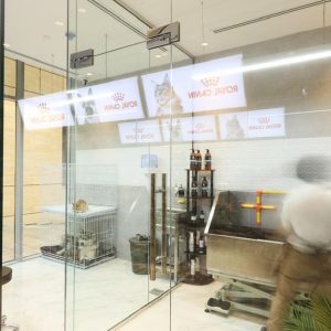 Full And Basic Grooming Options For Dogs And Cats PETS Shop Online at Special Price from UAE Mega Deals