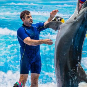 Enjoy Painting Dolphins, Juggling Seals, & Exotic Birds In Action Shop Online at Special Price from UAE Mega Deals