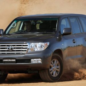 Evening Desert Safari With Desert King Tourism Shop Online at Special Price from UAE Mega Deals