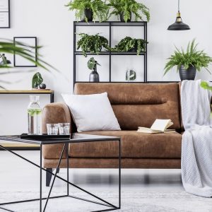 Interior Design And Home Decorating Online Course From Alpha Academy Shop Online at Special Price from UAE Mega Deals