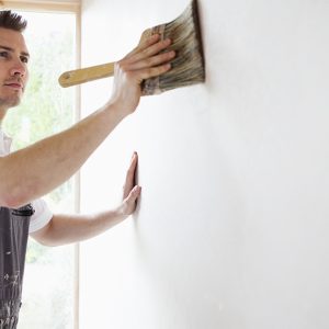 Interior Painter – House PRODUCTS HOME AND GARDEN Shop Online at Special Price from UAE Mega Deals