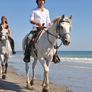 One Hour Beach Horse Riding Experiences At Al Sultan Equestrian Club Shop Online at Special Price from UAE Mega Deals