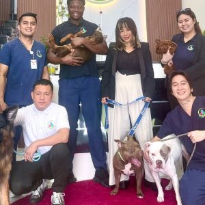 Pawfect Makeover: Basic & Full Pet Grooming For Cats And Dogs PETS Shop Online at Special Price from UAE Mega Deals