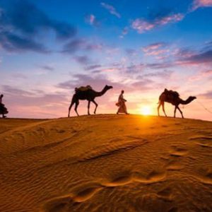 Buy Premium Desert Safari With Vip Transfer, Food, And Live Shows Mega Deals Now at Special Price in UAEMegaDeals.com Premium Desert Safari With Vip Transfer, Food, And Live Shows MOTOR SPORTS Shop Online at Special Price from UAE Mega Deals