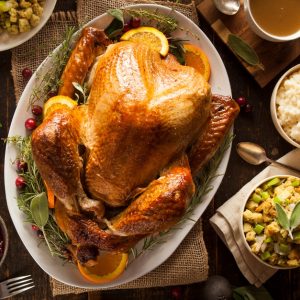Savor Global Flavors At Cosmic Kitchen: Daily 4-Course Set Menu INDIAN Shop Online at Special Price from UAE Mega Deals