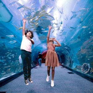 Entry For 1, 2 Or 4 Adults To World’s Largest Suspended Aquarium Shop Online at Special Price from UAE Mega Deals