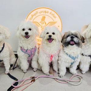 Explore Vaccine And Grooming Packages For Your Pet PETS Shop Online at Special Price from UAE Mega Deals
