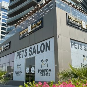 Full Grooming For Cats & Dogs – Small To Xl Breeds PETS Shop Online at Special Price from UAE Mega Deals