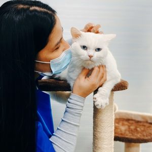 Buy Pet Grooming & Vaccine Care (consultation, Pch/Dhppi, And Deworming) Mega Deals Now at Special Price in UAEMegaDeals.com Pet Grooming & Vaccine Care (consultation, Pch/Dhppi, And Deworming) PETS Shop Online at Special Price from UAE Mega Deals