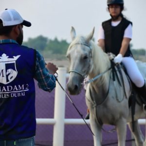 Ride Through Desert Beauty With Horseback Hacks & Arena Lessons Shop Online at Special Price from UAE Mega Deals