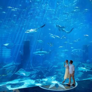 Skip the Line: Lost Chambers Entry at Atlantis The Palm Ticket at The Lost Chambers Aquarium, Dubai, United Arab Emirates Activities Shop Online at Special Price from UAE Mega Deals