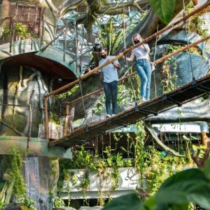 Child Or Adult Pass: Green Planet Day Or Optional Ain Dubai Adult Pass WATER SPORTS Shop Online at Special Price from UAE Mega Deals