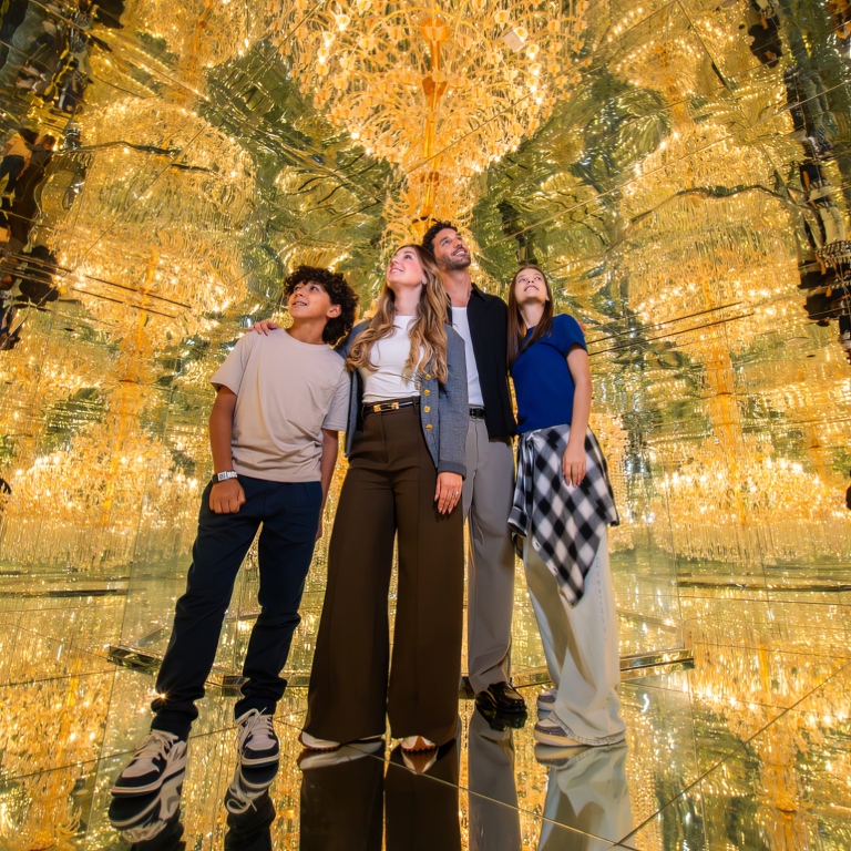 ARTE Museum + House Of Hype - Combo  Dubai Mall