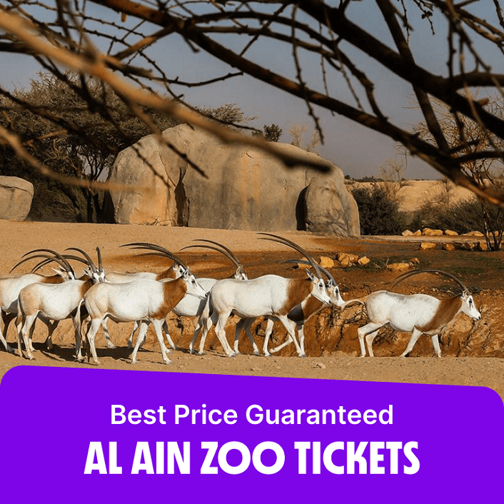 Al Ain Zoo Tickets  Al Ain Zoo