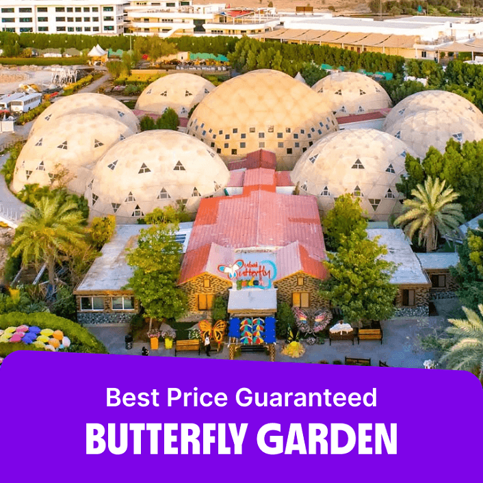 Butterfly Garden  Butterfly Garden