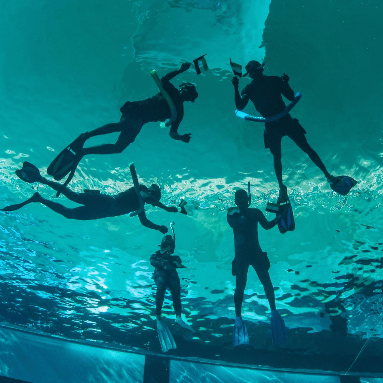 Deep Dive Dubai Surface Snorkeling Experience  Deep Dive Dubai