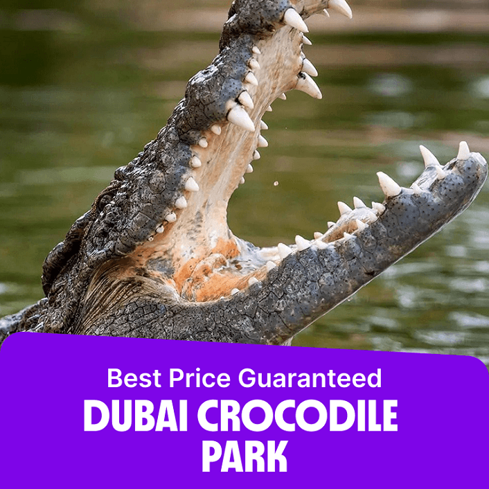 Dubai Crocodile Park  Dubai Crocodile Park