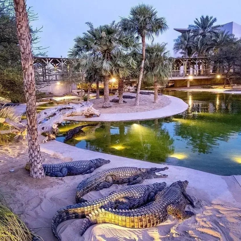 Dubai Safari Park + Dubai Crocodile Park - Combo  Dubai