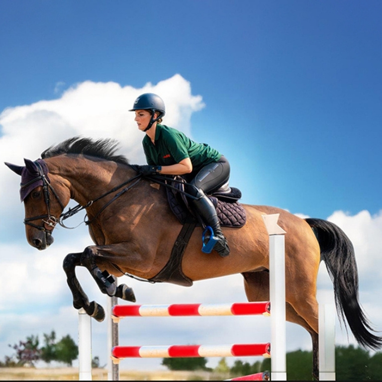 Equestrian Horse Ride at Al Forsan  Al Forsan Equestrian Centre