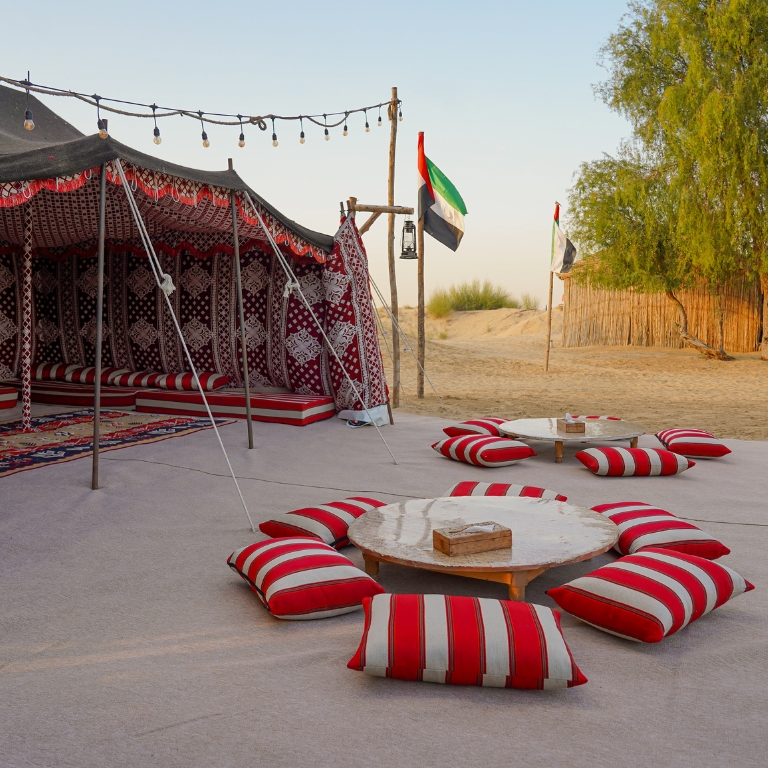 Evening Luxury Heritage Safari at Al Marmoom Bedouin Experience  Al Qudra