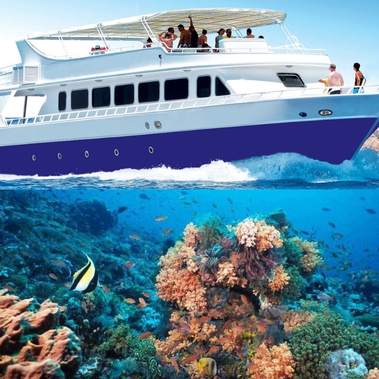 Half-day Snorkeling Boat trip with lunch and drinks from Sharm El Sheikh  Sharm El Sheikh