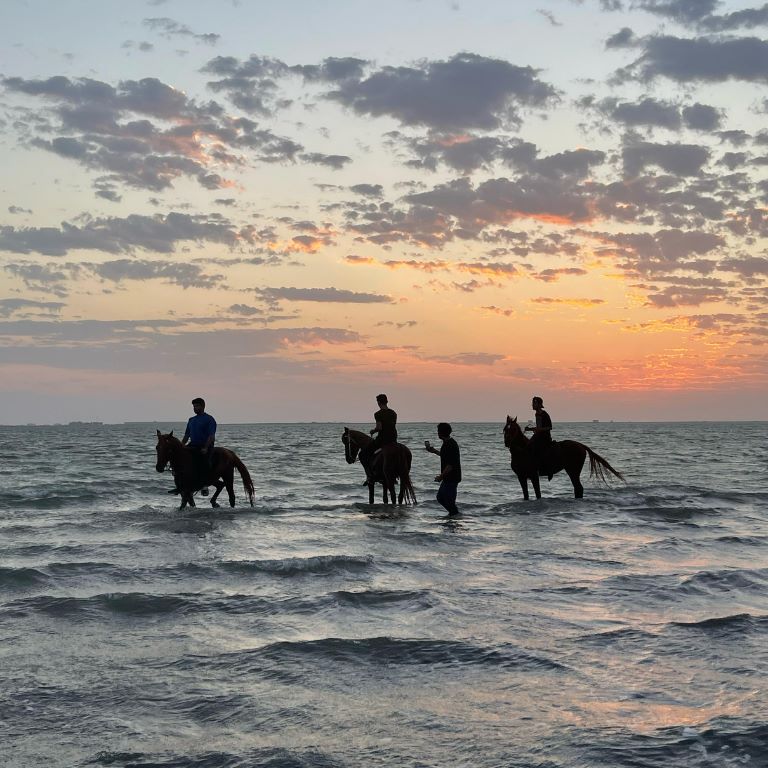 Horse Riding in Jeddah  Khalij Salman Beach