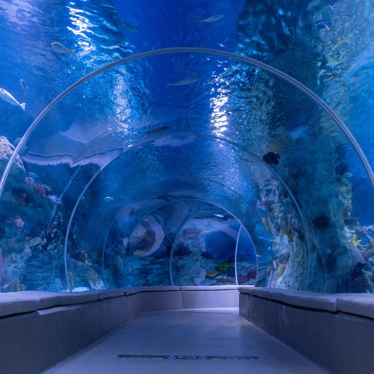 Istanbul Aquarium + Sky View + Sky Walk - Combo  Istanbul Aquarium