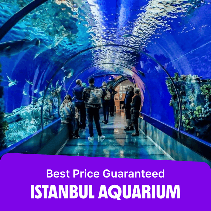 Istanbul Aquarium Ticket & Shuttle  Istanbul Aquarium