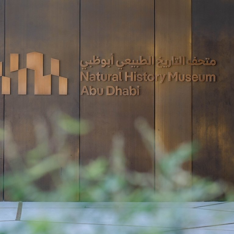Natural History Museum Abu Dhabi (anyone under 18 years go free)  Natural History Museum Abu Dhabi