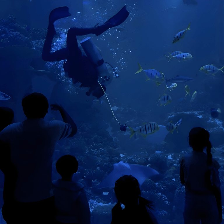 Oman Aquarium at Mall of Muscat  Oman Aquarium - Mall of Muscat