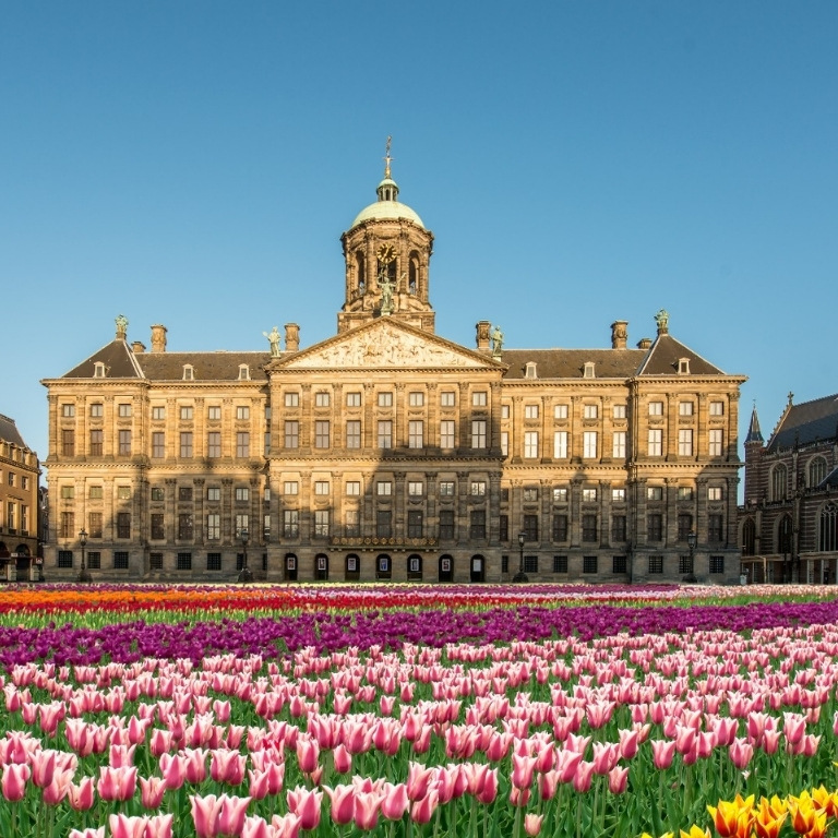Royal Palace Amsterdam (Koninklijk Paleis): Entry Ticket  Royal Palace Amsterdam