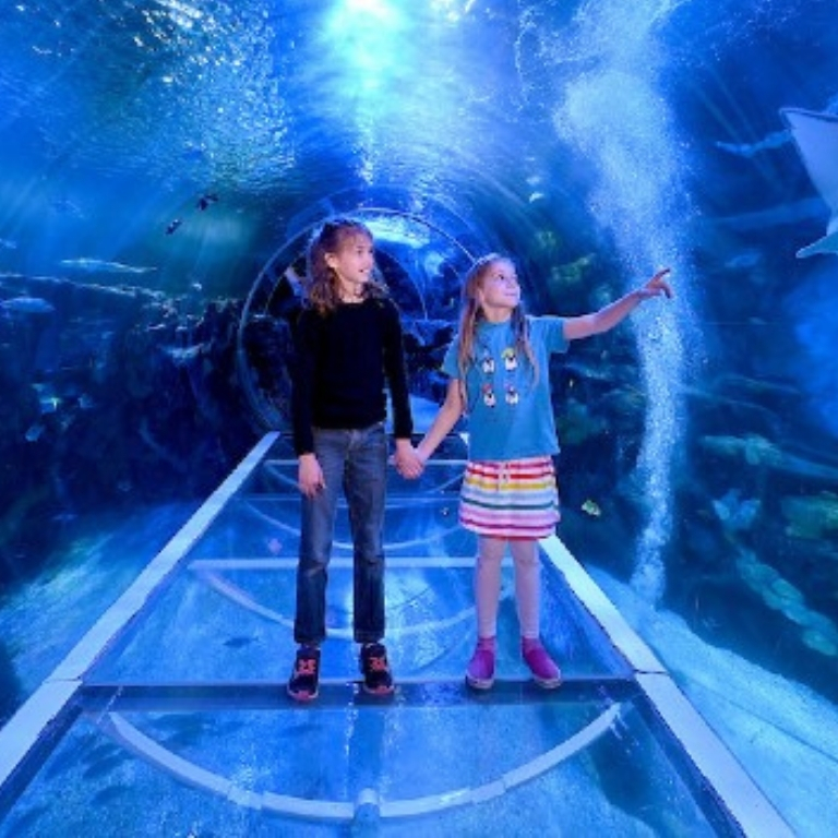 SEA LIFE Birmingham  SEA LIFE Birmingham